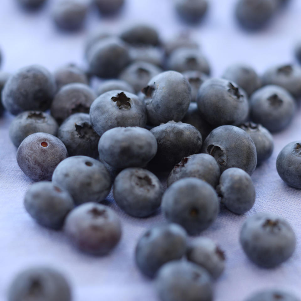 Wild Blueberries