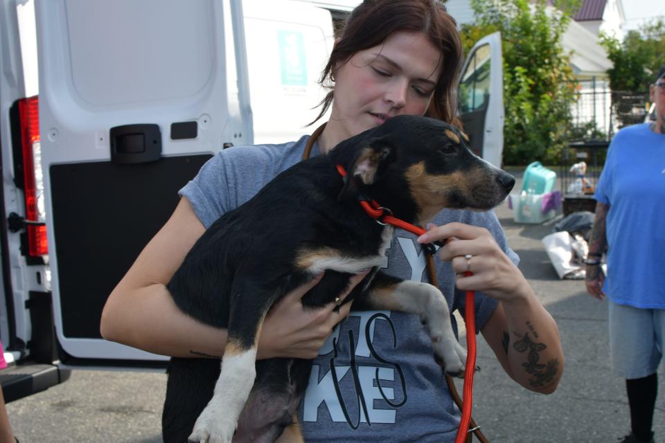 Grass Roots Rescue volunteers welcomed 59 dogs from Georgia to the Little Creek Fire Company on September 14, 2024.