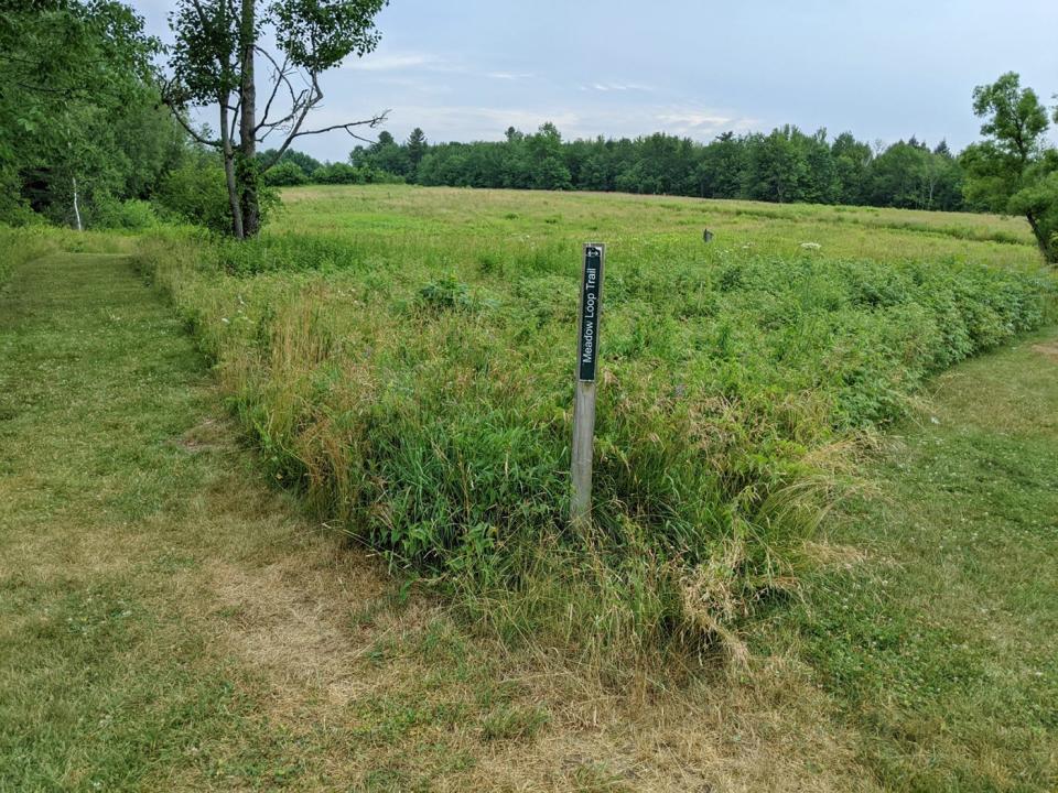 A view of both entrances of the Meadow Loop Trail at Lake Wampanoag Wildlife Sanctuary at the end of Raymond Street in Gardner.