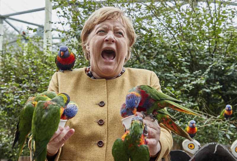 German Chancellor Angela Merkel feeds Australian lorikeets at Marlow Bird Park in Marlow, Germany.