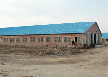 Cow farm houses at a Huishan Dairy farm no longer in operation are seen in Shenyang, Liaoning province, China, March 30, 2017. Picture taken March 30, 2017. REUTERS/Jake Spring