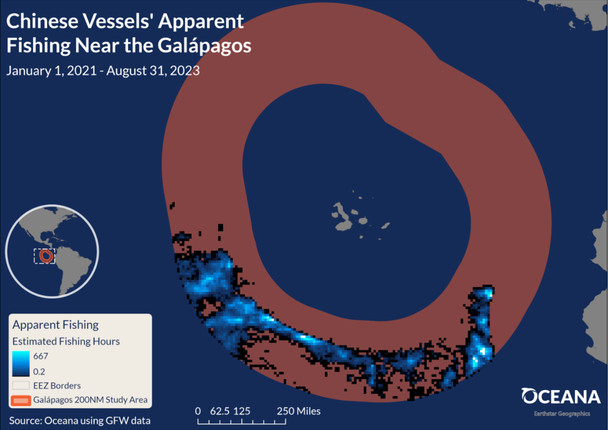 Balancing Fishing Rights in EEZ