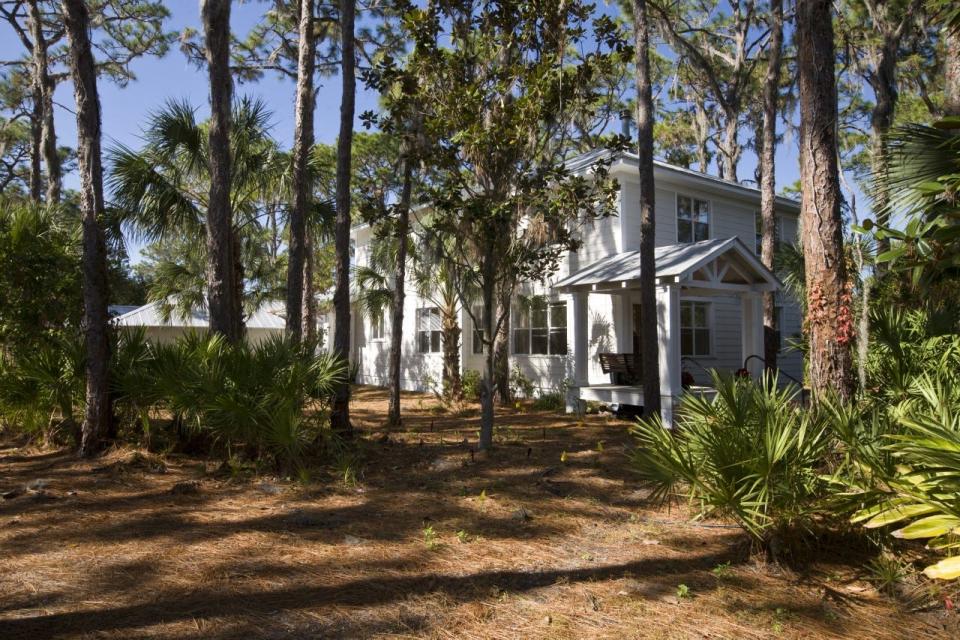 A Florida-Friendly landscape maintained with native vegetation in beds along with some limited St. Augustine turf.