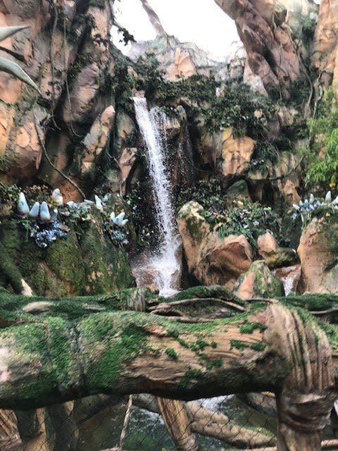 Pandora - The World of Avatar at Walt Disney World's Animal Kingdom was designed to make guests feel like they've been transported to another world, specifically Pandora's Valley of Mo'ara.