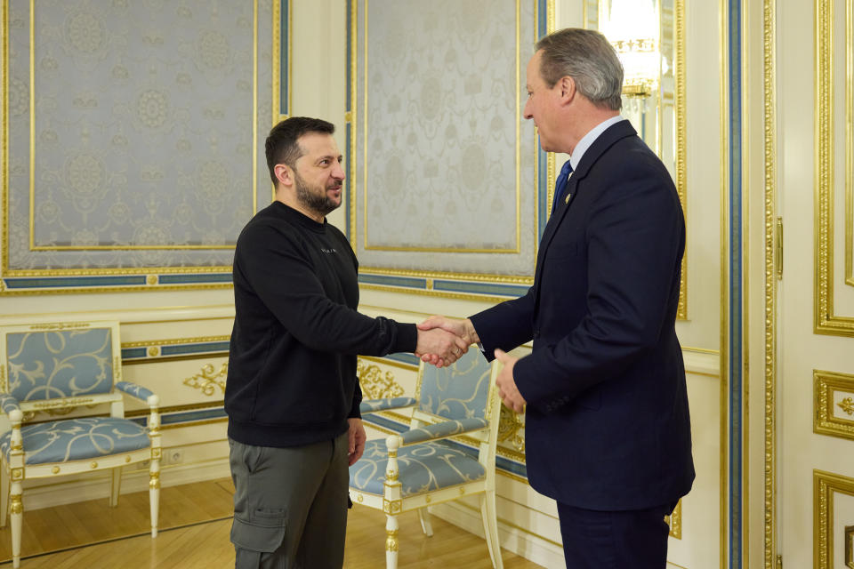 David Cameron meeting with Ukrainian President Volodymyr Zelensky in Kyiv. (PA)