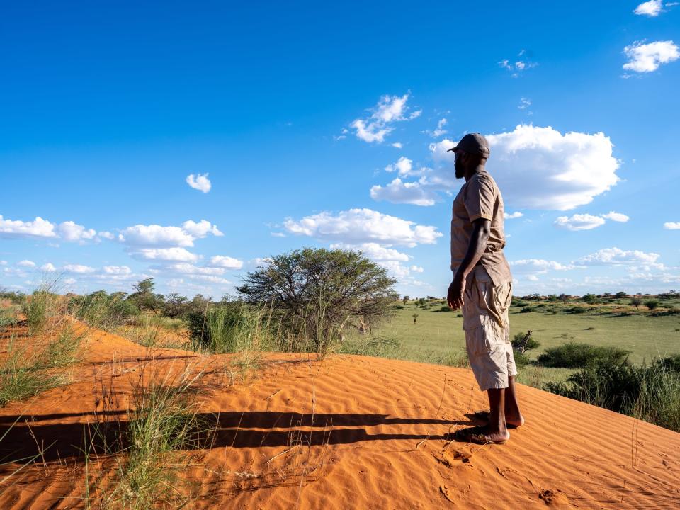 Going on safari in Kalahari in Namibia.