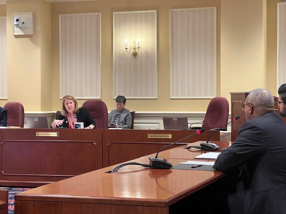 At left, state Sen. Mary Beth Carozza, R-Worcester/Wicomico/Somerset, speaks to Maryland Department of Commerce Secretary Kevin Anderson, at desk left, during a hearing on the "Transparent Government Act," of which she is a co-sponsor, in Annapolis on Feb. 22, 2024.