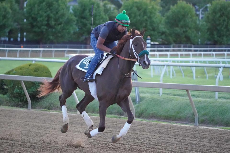 Kentucky Oaks winner Secret Oath on track during morning workouts at Pimlico Race Course.