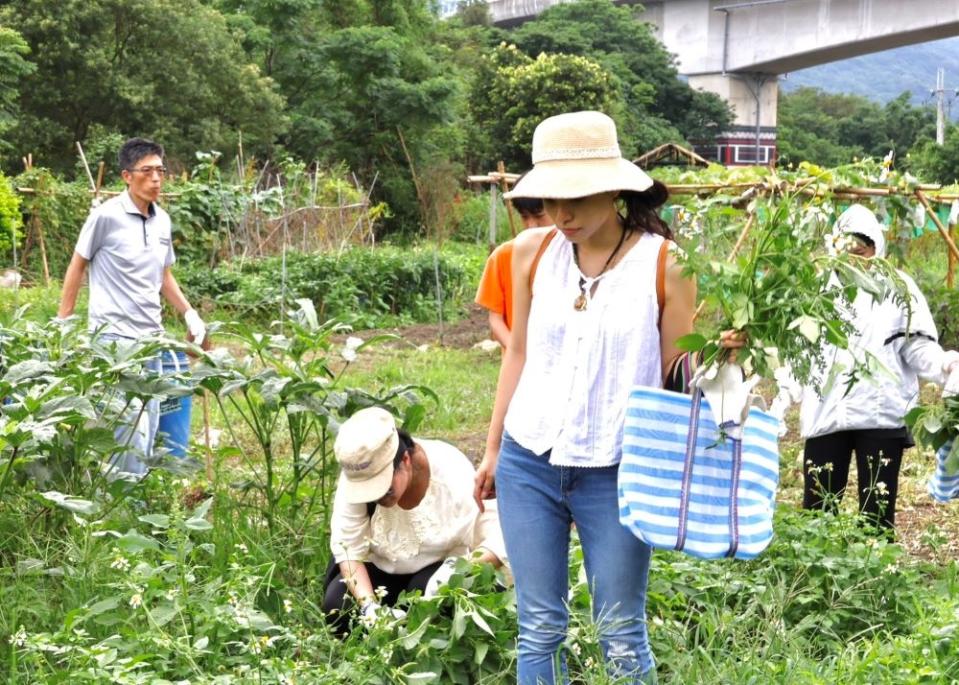 《圖說》新北原民局今年度推出Lipahak農園食農教育體驗，帶領民眾認識具原住民族文化的都市原民農園。〈原民局提供〉