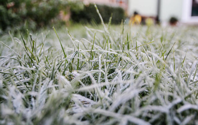 Froid en France : De la neige encore attendue en Île-de-France