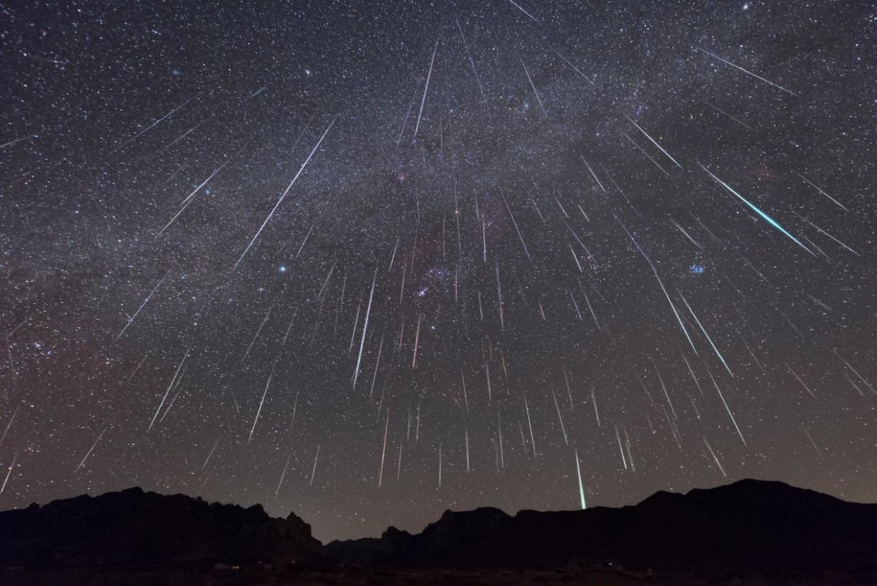 This layered image shows dozens of Geminid meteors one photographer captured in one night in Arizona. (Malcolm Park - image credit)