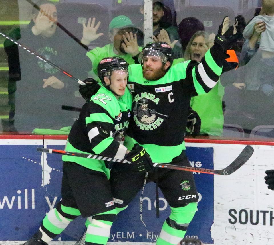 The Elmira Enforcers celebrate after scoring during Game 2 of their Federal Hockey League semifinal series against the Watertown Wolves on April 13, 2019 at Elmira's First Arena. A new team, the Elmira River Sharks, will launch its inaugural season in October, according to the Chemung County IDA.