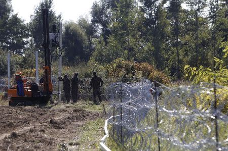 Hungarian army soldiers erect a fence on the border with Croatia near Zakany, Hungary, October 1, 2015. REUTERS/Bernadett Szabo