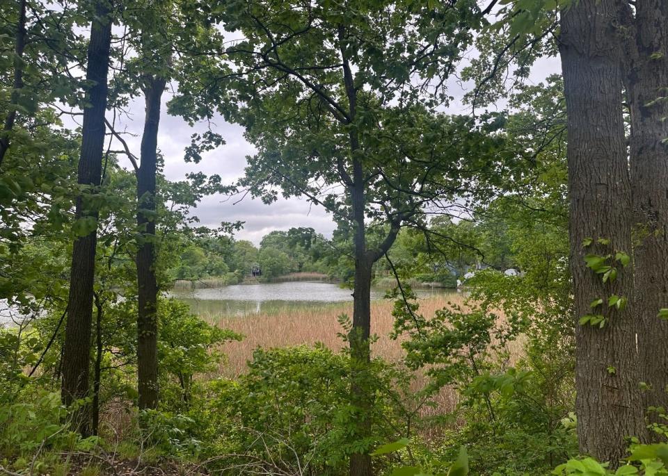 A shot of Cliffwood Beach's Treasure Lake through the trees. The site was known as a rest stop for Captain William Kidd's pirate crew, and possibly the site of his long lost treasure.