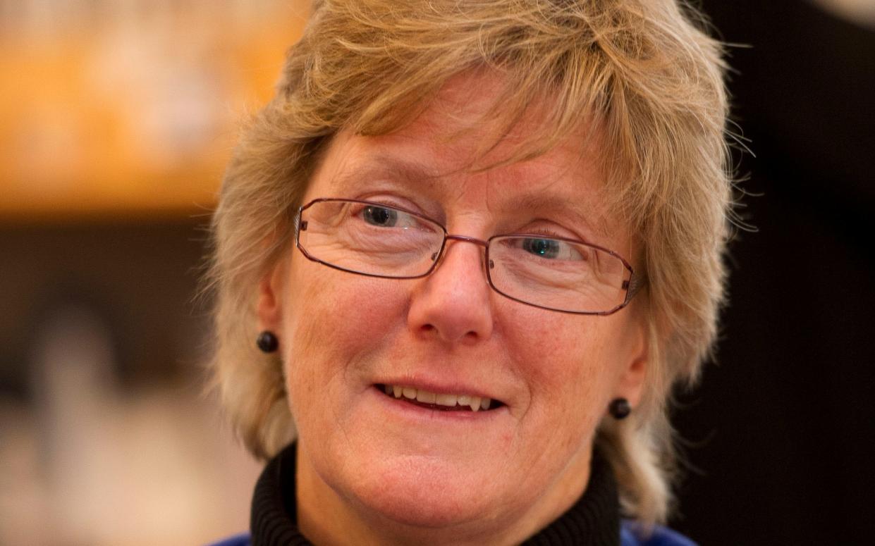 Dame Sally Davies said she now wears the label of chief nanny with pride  - PA 