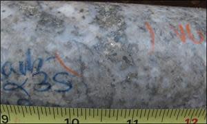 Pyrite (Py), bismuthinite (Bis), and visible gold (VG) mineralization in porphyry-style veinlets hosted within strongly silicified granodiorite from RVD21-07 at 46.25 metres. This 0.5-metre sample from 46 metres returned 1.29 g/t Au, 0.60 g/t Ag, and 0.04% Cu.