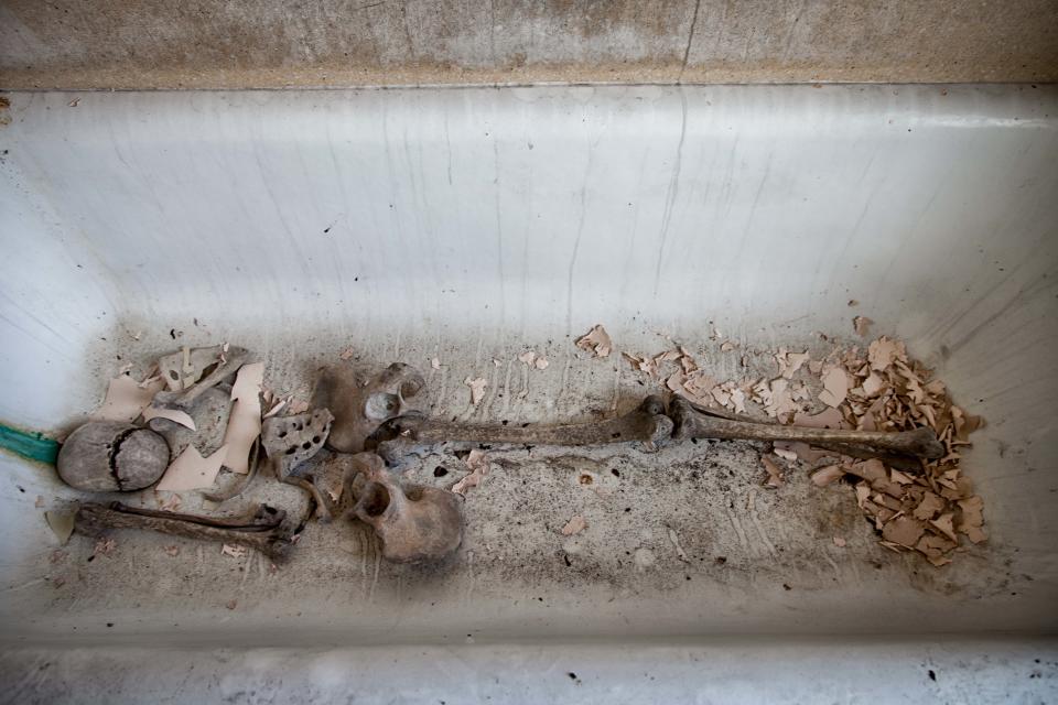 What appear to be human remains lie abandoned in a bathtub. Source: Media Drum World/Australscope