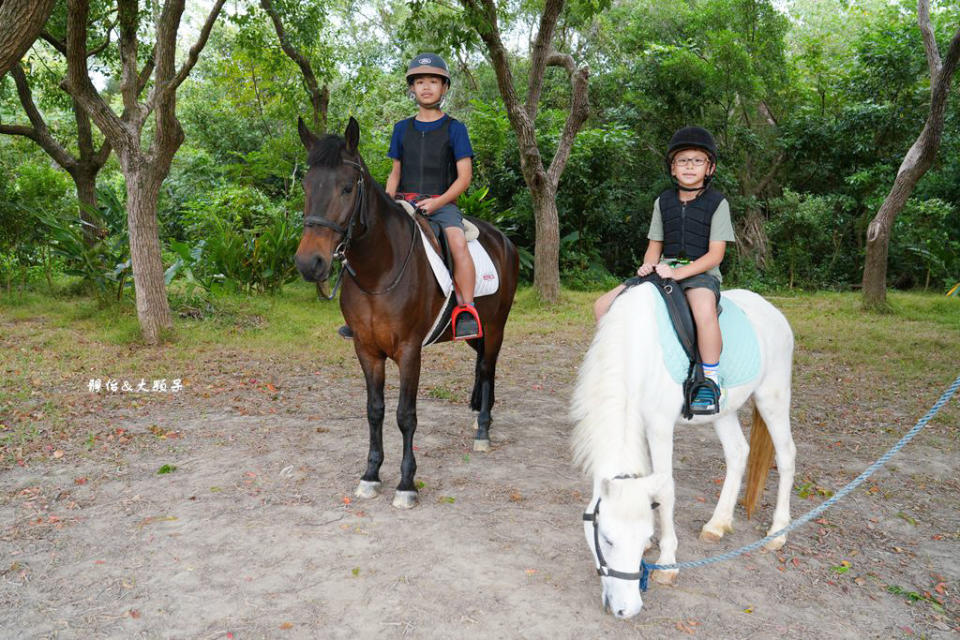 新竹尼普頓馬術創藝園區