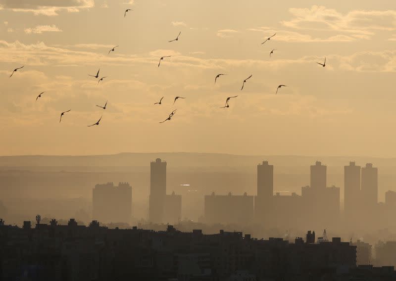 FILE PHOTO: Birds fly during sunset with Cairo skyline visible in the background, during foggy cold weather