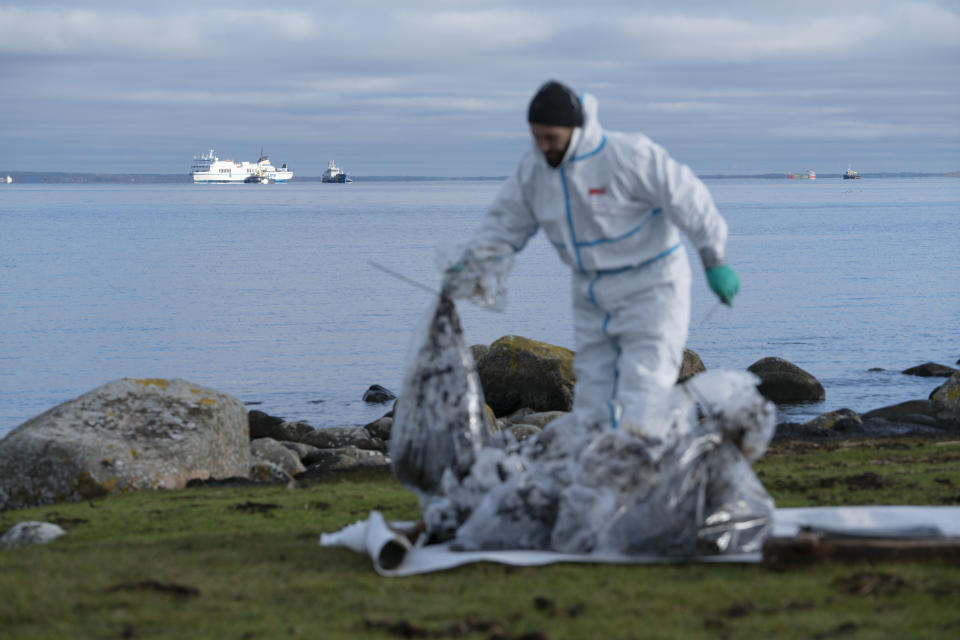 CORRECTS DATE - A person is seen cleaning up on the beach in Djupekas, Sweden, Wednesday, Nov. 1, 2023. A ferry that had ran aground last month off southeastern Sweden, leaking oil into the Baltic Sea, has been pulled free and anchored nearby. The Swedish Coast Guard said Wednesday that a new oil leak had also been discovered. (Ola Torkelsson/TT News Agency via AP)