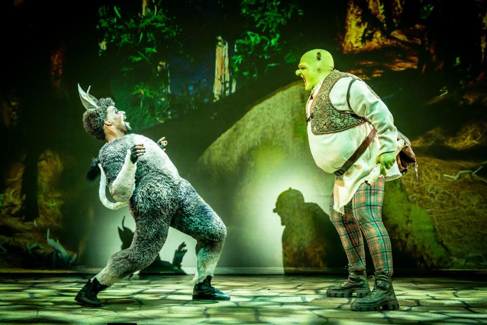The production features a stellar cast line up including Antony Lawrence as Shrek (Photo: Contributed)
