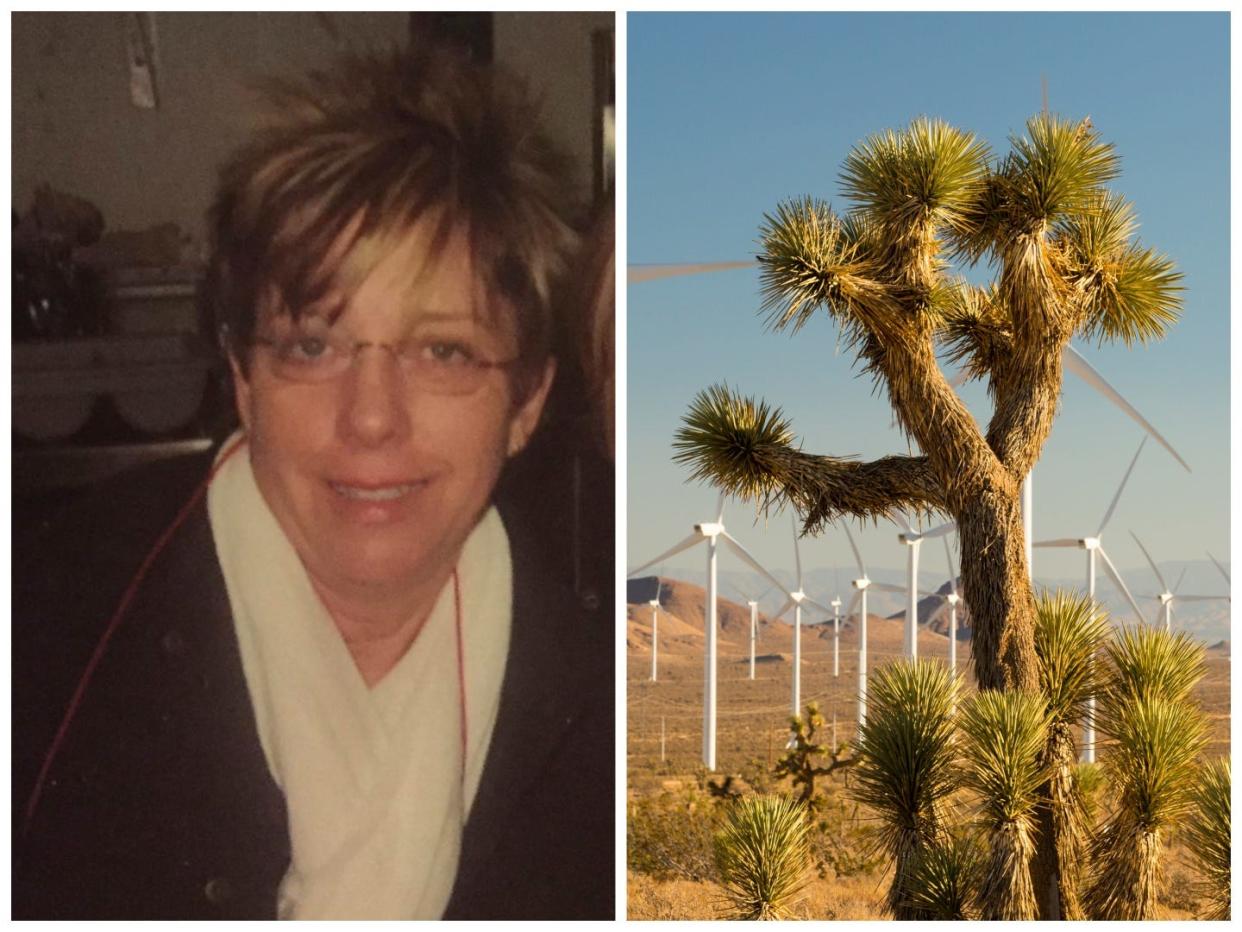 A side by side photo of Jayne Ashton and a Joshua tree in Tehachapi, CA