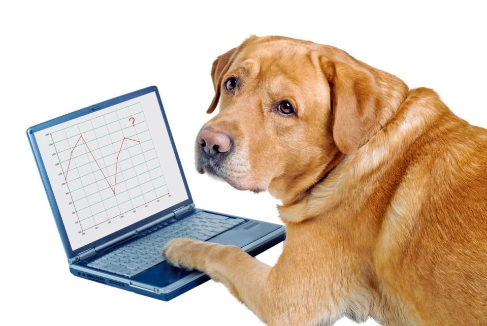 A yellow lab looks over its should while putting one paw on a laptop computer.