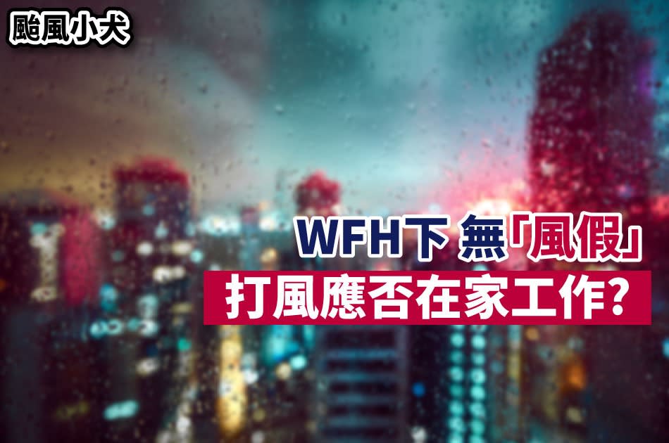 颱風小犬丨WFH下無「風假」 打風應否在家工作？