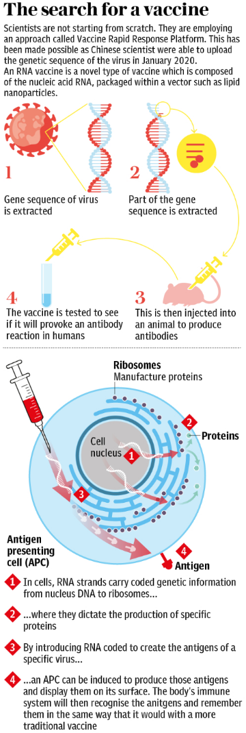 Vaccine for Coronavirus