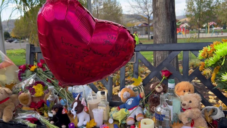 A bench at Ben Lee Park was turned into a memorial for teenager Tristan Seeger, who was killed in a collision with a vehicle on Oct. 21.