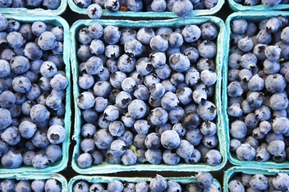 7 Unexpected Benefits of Blueberries You Probably Didn’t Know About