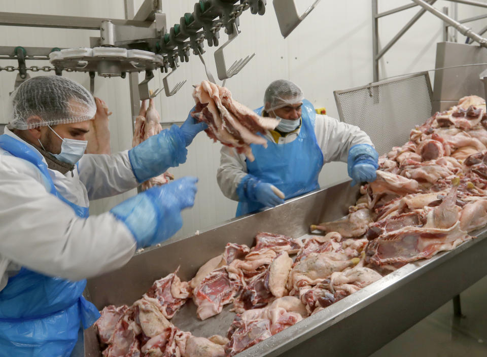 Staff are working on the production line of Kosher poultry meat in a Kosher slaughterhouse in Csengele, Hungary on Jan. 15, 2021. The kosher slaughterhouse has increased its exports to Belgium since the European Union’s highest court last month upheld a law that outlawed slaughtering animals without first stunning them into unconsciousness, and Jewish law forbids injuring an animal before it is killed. (AP Photo/Laszlo Balogh)