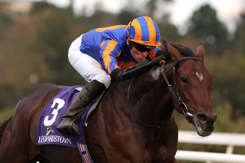 Grosvenor Square, ridden by Seamie Heffernan, on the way to winning the Eyrefield Stakes at Leopardstown Racecourse in Dublin, Ireland on Saturday, October 21 2023