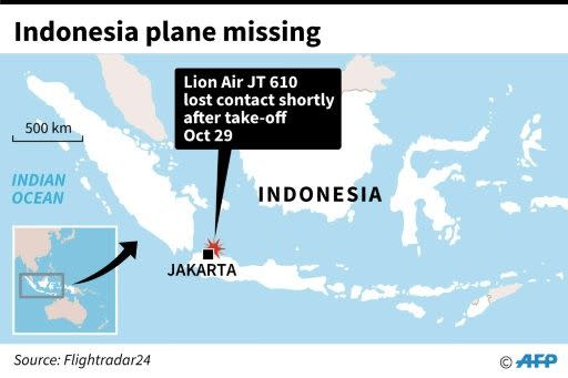 The plane departed Indonesia’s capital, Jakarta on Monday. Source: AFP