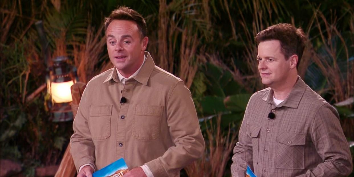 ant and dec, im a celebrity get me out of here south africa