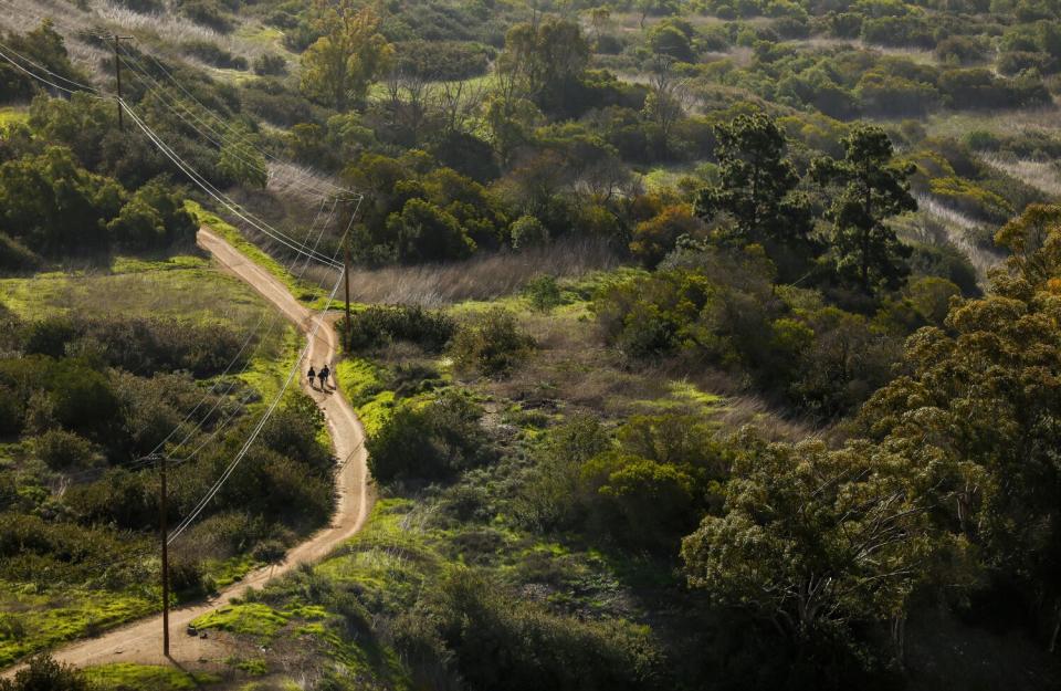 An overhead view of a path in the middle of lush greenery