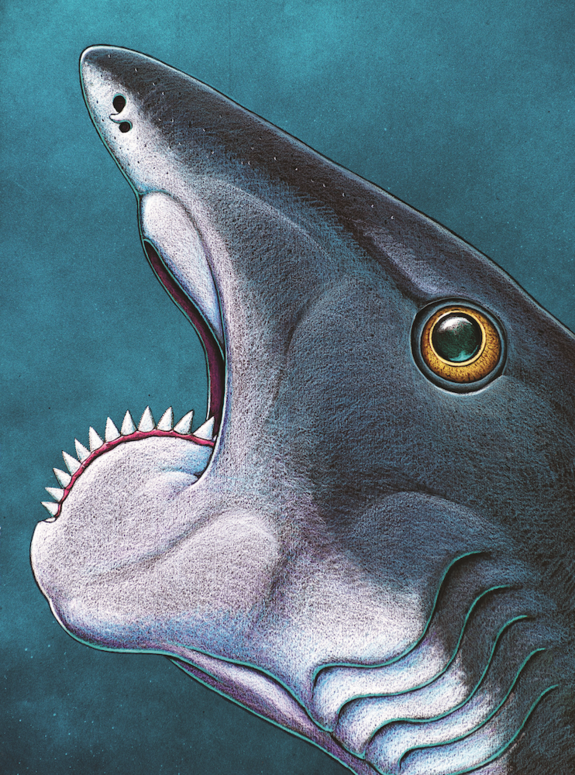 An artist's conception of <i>Helicoprion's</i> bizarre spiral jaw.