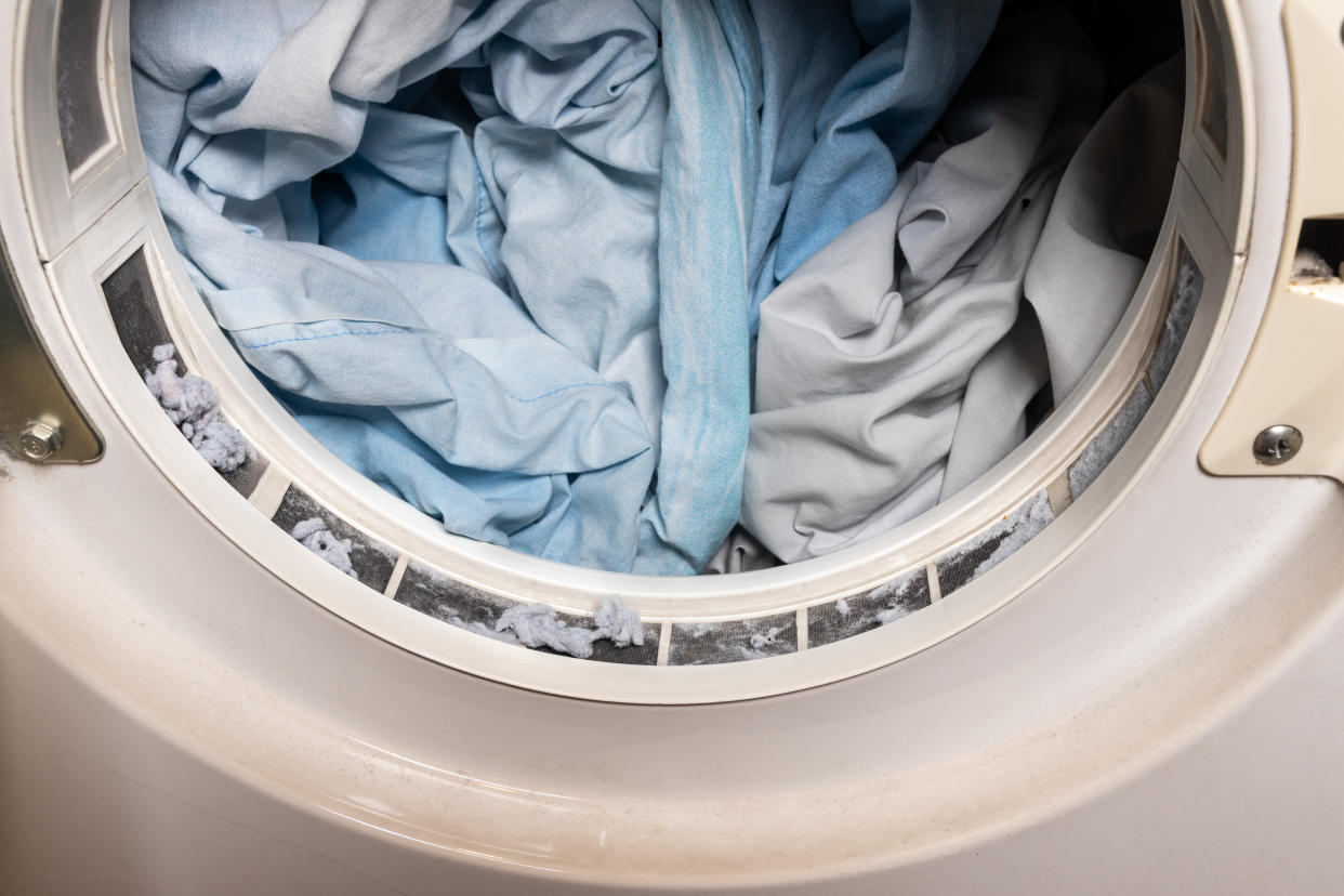 Lint from fabric trapped on laundry dryer filter screen