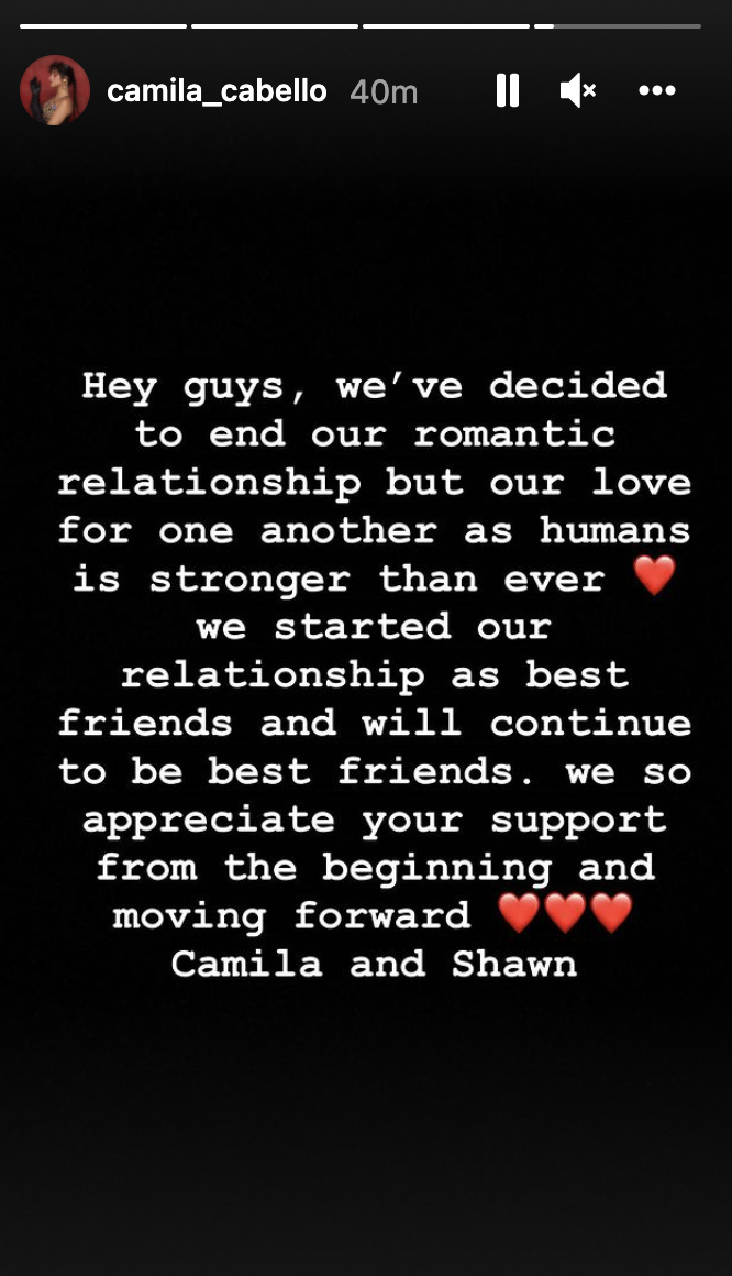 Camila Cabello and Shawn Mendes shared the news on their social media accounts. (Photo: Instagram)