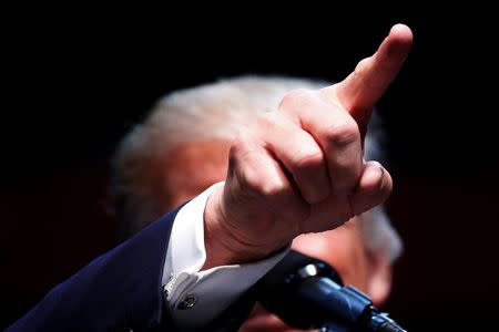 Republican presidential nominee Donald Trump speaks during a campaign rally in Everett, Washington, U.S., August 30, 2016. REUTERS/Carlo Allegri