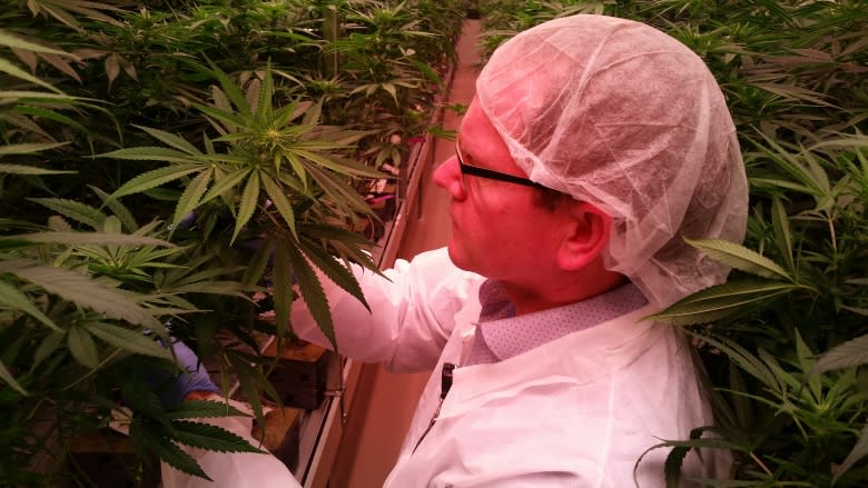 P.E.I. marijuana grower looks ahead to $20M expansion