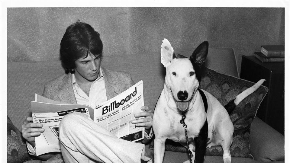 Rick Springfield Working Class Dog era