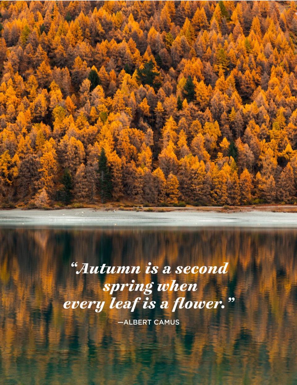 <p>“Autumn is a second spring when every leaf is a flower.”</p>