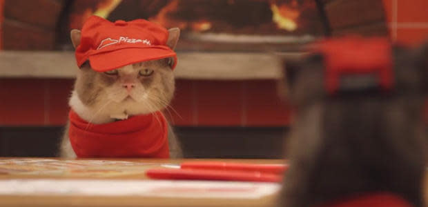 pizzahutcat8.jpg