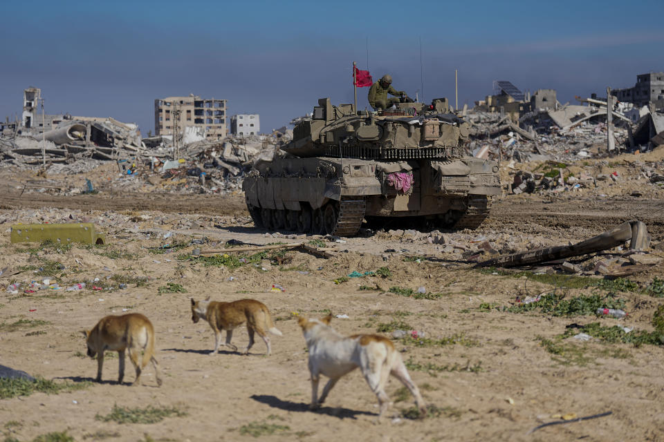 Israeli soldiers sit on top of a tank as wild dogs roam the area of the coastal road during a ground operation in Gaza, Thursday, Feb. 8, 2024. The Israeli military says it has discovered tunnels underneath the main headquarters of the U.N. agency for Palestinian refugees in Gaza City, alleging that Hamas militants used the space as an electrical supply room. The unveiling of the tunnels marked the latest chapter in Israel's campaign against the embattled agency, which it accuses of collaborating with Hamas. (AP Photo/Ariel Schalit)