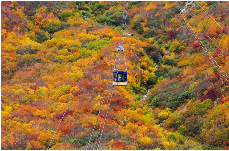 日本立山黑部阿爾卑斯山脈路線