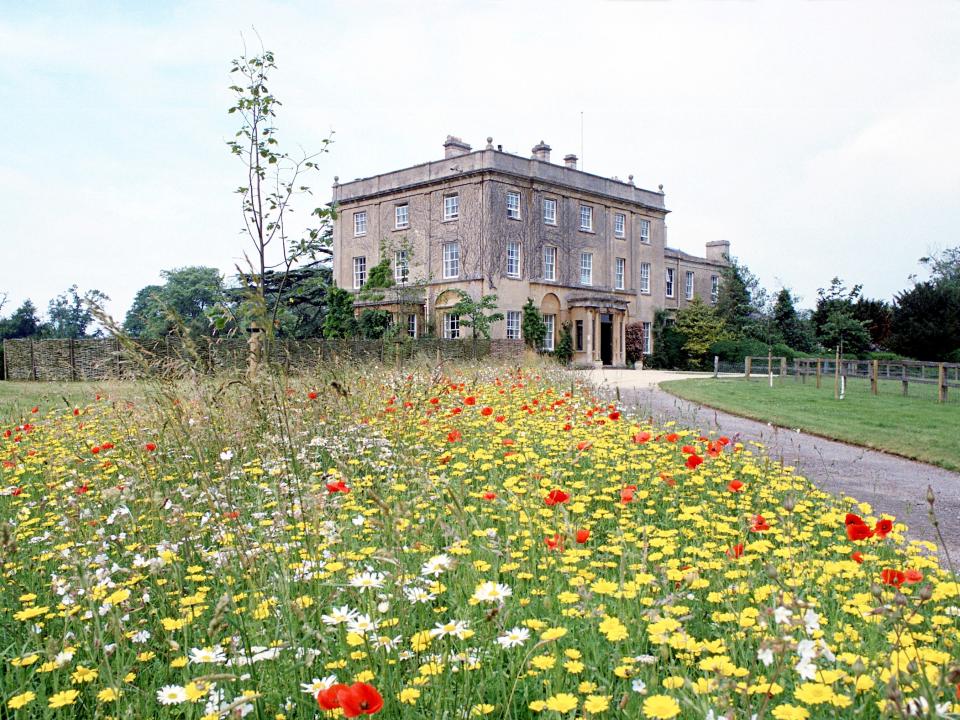 A wild flower meadow at Highgrove House.
