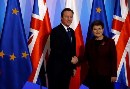 Britain's Prime Minister David Cameron shakes hands with his Polish counterpart Beata Szydlo during their meeting in Warsaw, Poland December 10, 2015. REUTERS/Kacper Pempel