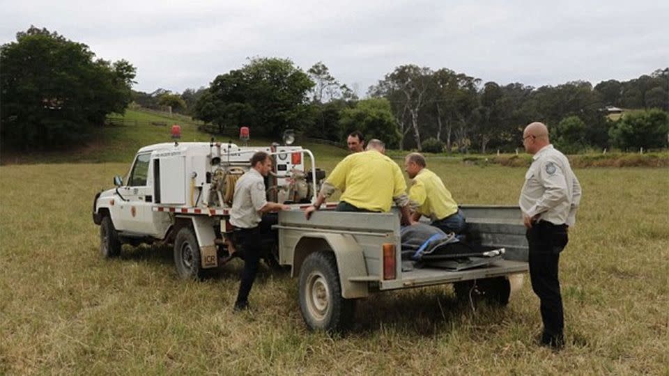 National Parks and Wildlife rangers transported the animal back to the ocean. Photo: NPWS