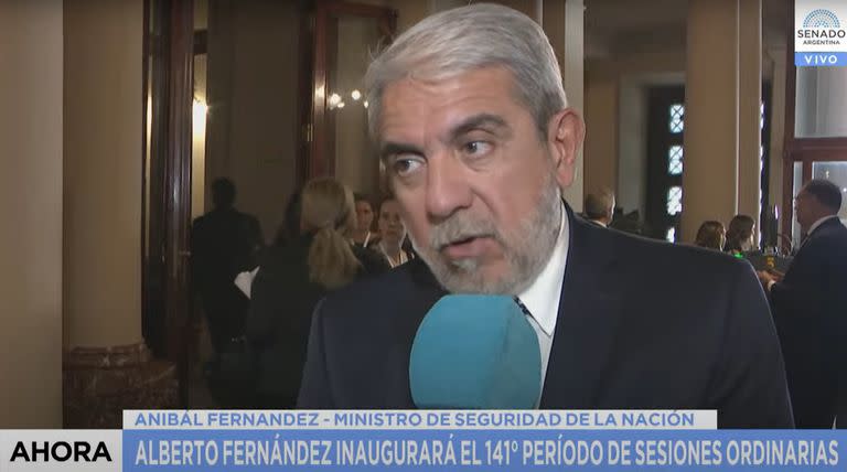 El ministro de Seguridad, Aníbal Fernández